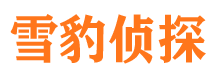 勐海市侦探公司